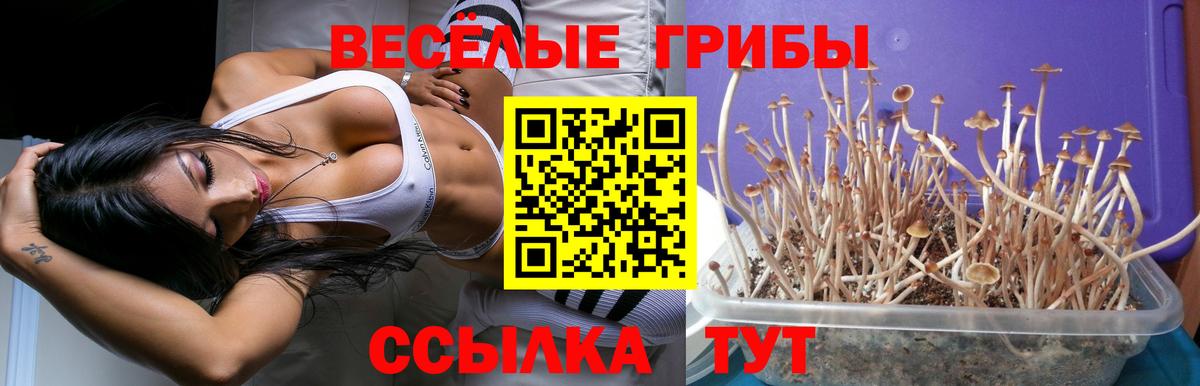Лянтор  Галлюциногенные грибы Magic Shrooms  Вход с VPN 